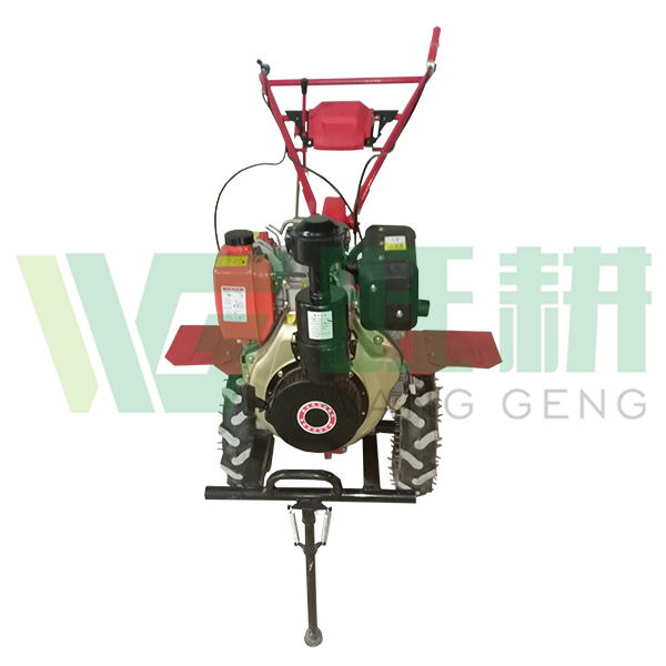 186凯马 (2).jpg 186凯马 (2).jpg