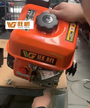 Guia de manteniment del motor de gasolina d'escuma Wanggeng: petits detalls a...